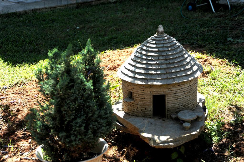 Studio Marija Pula Luaran gambar